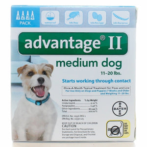 Advantage II, Medium Dog  11-20 Lb, 4 Count