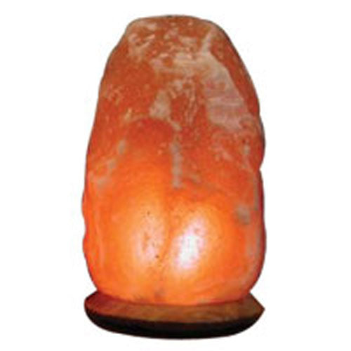 Aloha Bay, Himalayan Salt Lamps Replacement Bulb, 15 Watt