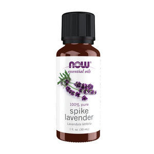 Now Foods, Spike Lavender Oil, 1 Oz