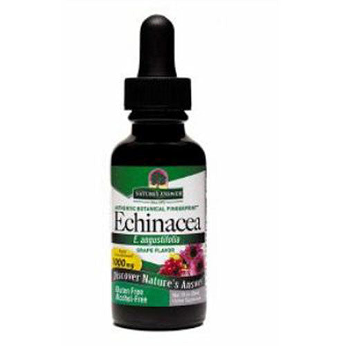 Nature's Answer, Echinacea Root Fluid Extract Alcohol-Free, 1000 Mg, 1 Oz