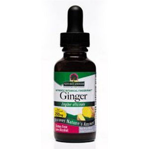 Nature's Answer, Ginger Root Low Alcohol, 1040 Mg, 1 Oz