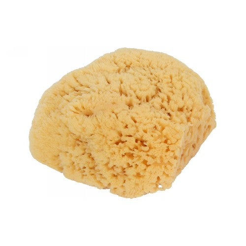 Bass Brushes, Body Care Natural Sea Sponge, 1 Count