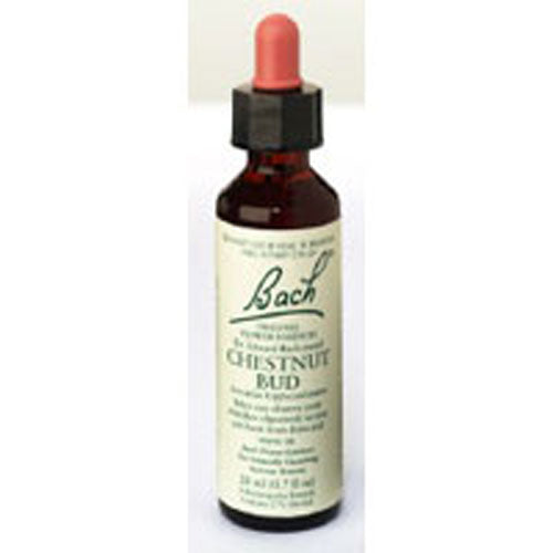 Bach, Original Flower Remedies Chestnut Bud Flower Essence, 20 ML