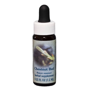Flower Essence Services, Chestnut Bud Dropper, 0.25 oz