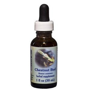 Flower Essence Services, Chestnut Bud Dropper, 1 oz