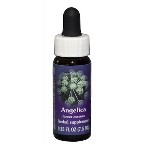 Flower Essence Services, Angelica Essence, 0.25 Oz