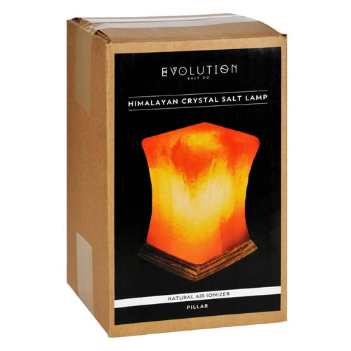 Evolution Salt, Pillar Salt Lamp, 1 Count
