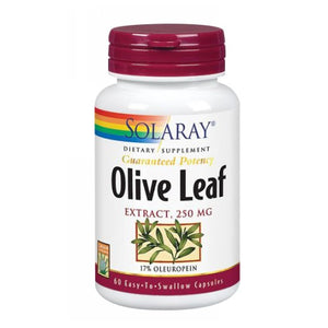 Solaray, Olive Leaf Extract, 250 mg, 60 Caps