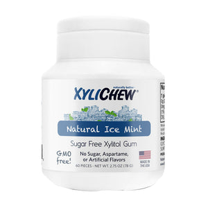 Xylichew, Gum Ice Mint Jar, 60 Count